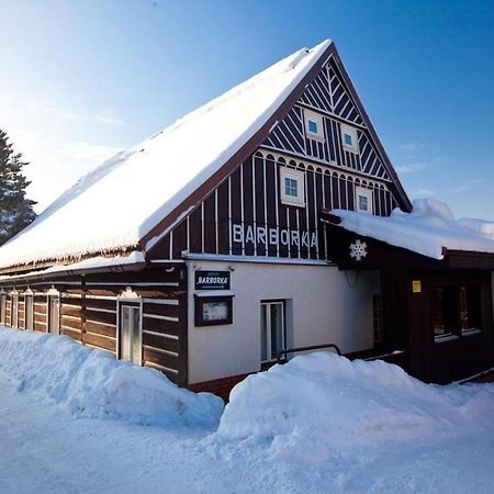 Penzion Barborka Hotell Rokytnice nad Jizerou Exteriör bild